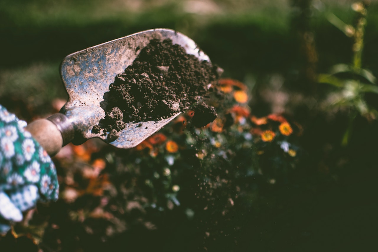 Small shovel with soil on digging up a garden