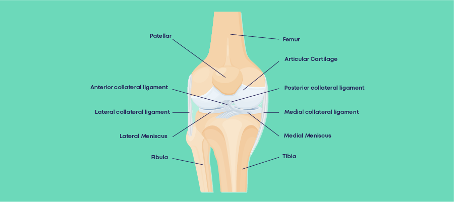 Patellar Tendinitis: Symptoms, Causes, Diagnosis & Treatments